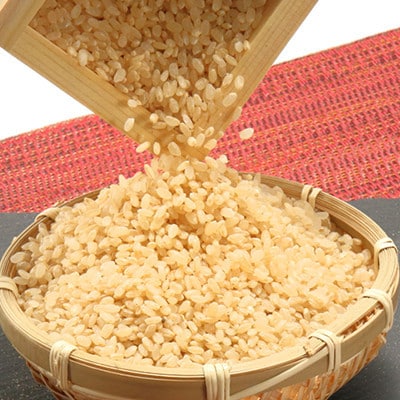 【毎月定期便】あきたこまち特別栽培玄米5kg全9回