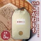 【令和6年産】もち米　玄米5kg (栽培期間中　農薬不使用・化学肥料不使用