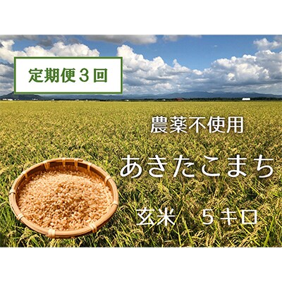 2ヵ月毎定期便】あきたこまち玄米5kg (栽培期間中農薬不使用・化学肥料