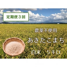 【2ヵ月毎定期便】あきたこまち白米5kg (栽培期間中農薬不使用・化学肥料不使用) 全3回