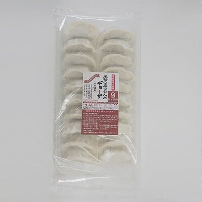 米粉の皮で包んだギョーザ(肉不使用) 100個セット