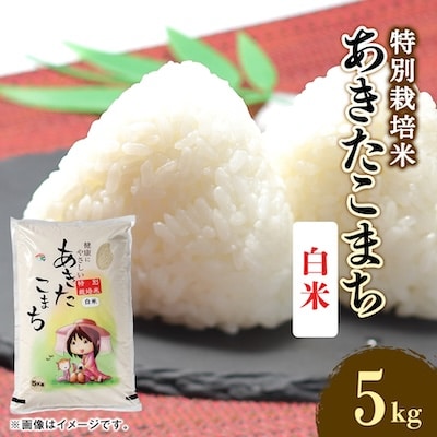 令和7年産　特別栽培米あきたこまち　白米5kg