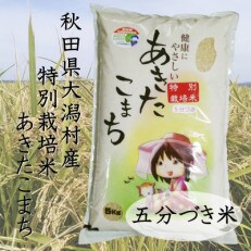 令和4年度産米　特別栽培米あきたこまち　五分づき米5kg