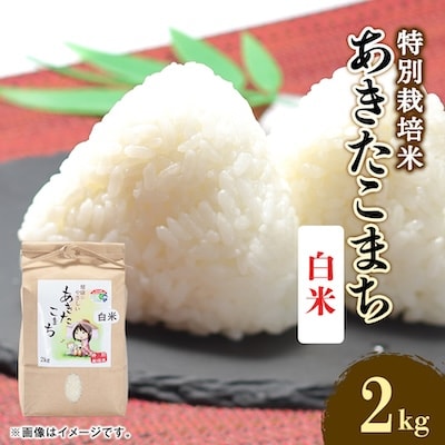 令和7年産　特別栽培米あきたこまち　白米2kg