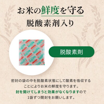 【玄米】大潟村産あきたこまち有機栽培米5.5kg 【令和6年産】