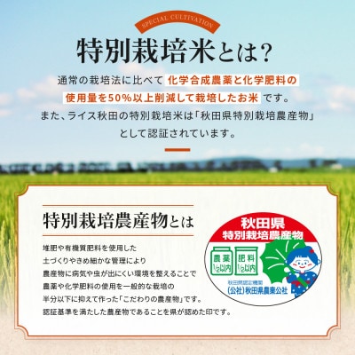 【無洗米】大潟村産あきたこまち特別栽培米5kg 【令和6年産】