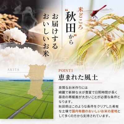 【無洗米】大潟村産あきたこまち特別栽培米5kg 【令和6年産】