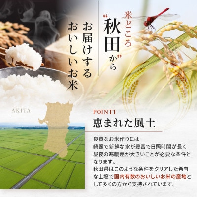 秋田県産あきたこまち5kg【令和6年産】