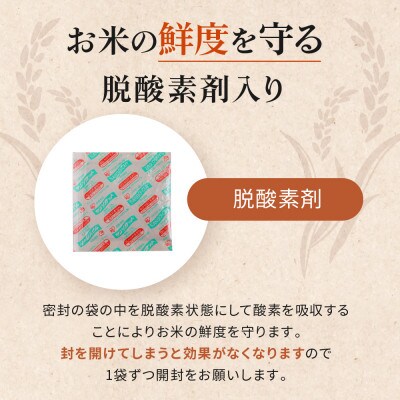 【精米】大潟村産あきたこまち特別栽培米10kg 【令和6年産】