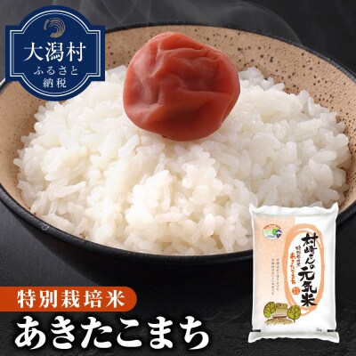 【無洗米】大潟村産あきたこまち特別栽培米10kg 【令和6年産】
