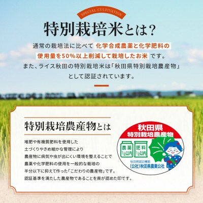 【無洗米】大潟村産あきたこまち特別栽培米10kg 【令和6年産】