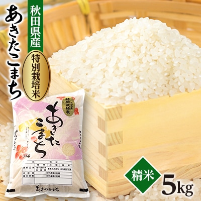 令和6年産　特別栽培米あきたこまち(白米)5kg
