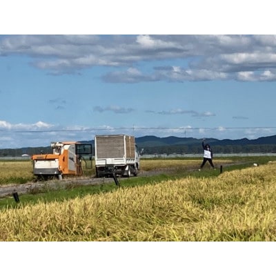 令和6年産　特別栽培米あきたこまち(白米)5kg