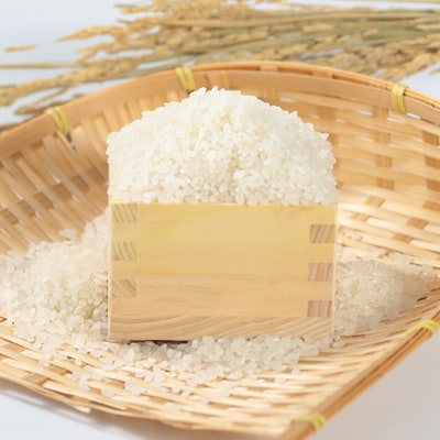 【令和7年産】特別栽培米サキホコレ5kg(白米)