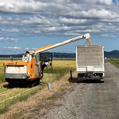 【令和7年産】特別栽培米あきたこまち2kgと特別栽培米サキホコレ2kgの白米食べ比べセット