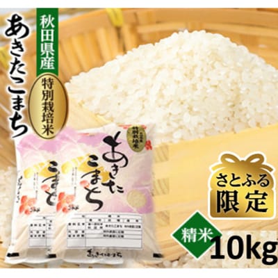 【さとふる限定】令和7年産　特別栽培米あきたこまち10kg(白米)