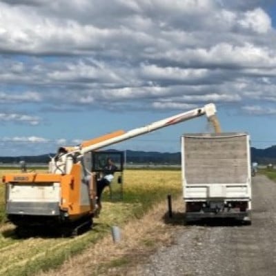 令和7年産　特別栽培米あきたこまち10kg(白米)