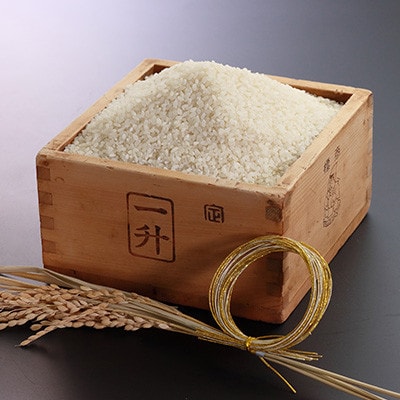 【発送月固定定期便】2月・6月・10月　サキホコレ　白米4.5kg(30合)全3回