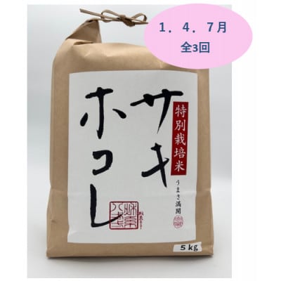 【発送月固定定期便】1月、4月、7月　特別栽培米サキホコレ5kg全3回