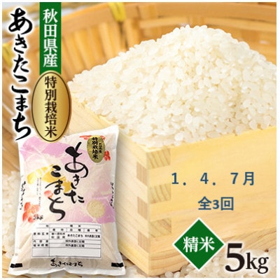 【発送月固定定期便】1月・4月・7月　特別栽培米あきたこまち5kg全3回