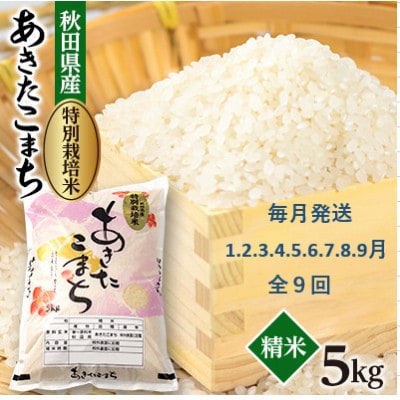 【発送月固定定期便】毎月発送　特別栽培米あきたこまち5kg全9回