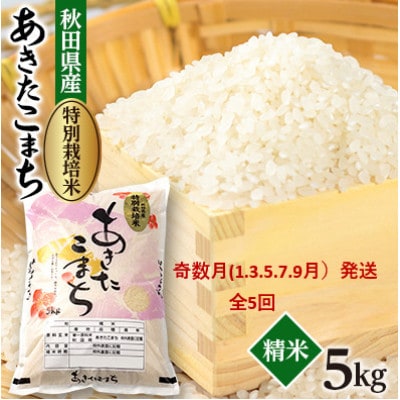 【発送月固定定期便】奇数月発送　特別栽培米あきたこまち5kg全5回