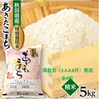 【発送月固定定期便】偶数月発送　特別栽培米あきたこまち5kg全4回
