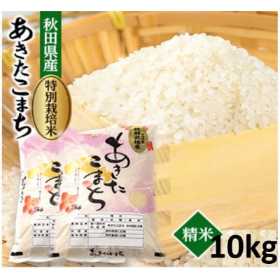 【2ヵ月毎定期便】特別栽培米あきたこまち10kg(5kg×2)全3回