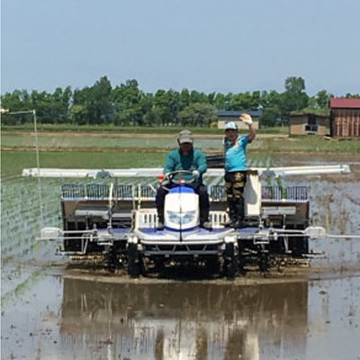 【3ヵ月毎定期便】特別栽培米サキホコレ10kg(5kgx2)全2回