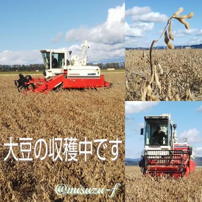 みすずのこいくち醤油　6本