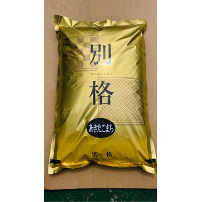【新米予約】令和7年産 あきたこまち 無洗米 5kg