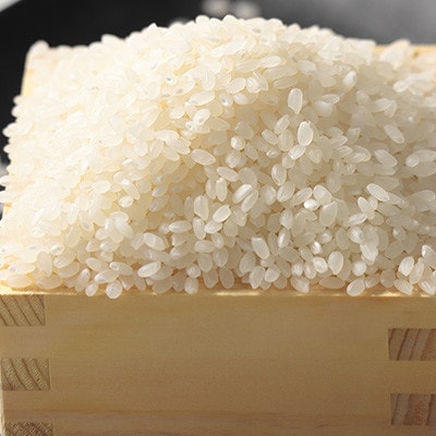 【毎月定期便】あきたこまち 無洗米 10kg(5kg×2袋)全3回