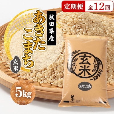 【毎月定期便】あきたこまち 玄米 5kg全12回