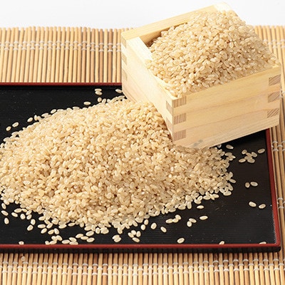 【毎月定期便】ミルキープリンセス 玄米 30kg(5kg×6袋)全9回