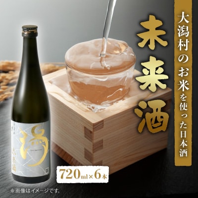 未来酒～大潟村のお米を使った日本酒～4合瓶(720ml)×6本