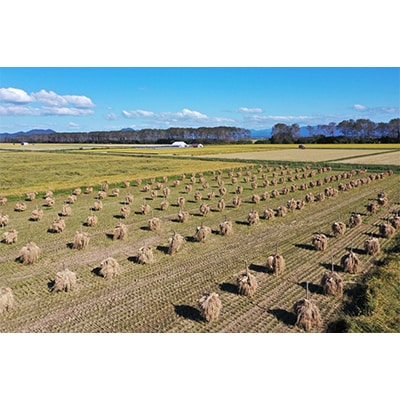 【お米市場大潟】湖の誉れ あきたこまち(精米)5kg