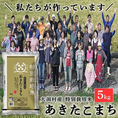 【令和7年産】特別栽培米 あきたこまち 5kg 精米◆秋田県大潟村