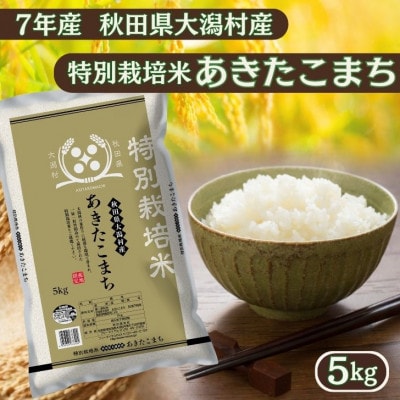 あきたこまち5kg　秋田県産特別栽培米　大潟村のお米【令和7年産】精米