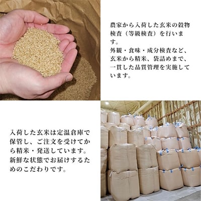 サキホコレ5kg　秋田県産特別栽培米　大潟村のお米【令和7年産】精米