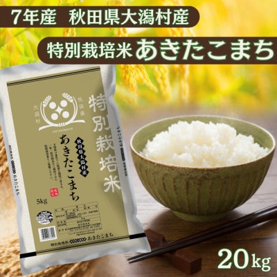 あきたこまち20kg　秋田県産特別栽培米　5kg×4袋　大潟村のお米【令和7年産】精米