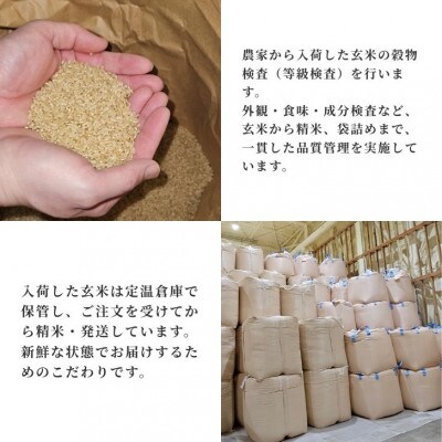 あきたこまち20kg　秋田県産特別栽培米　5kg×4袋　大潟村のお米【令和7年産】精米