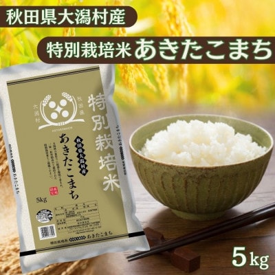 【毎月定期便】あきたこまち5kg(6か月分)秋田県産特別栽培米 大潟村のお米 精米 全6回