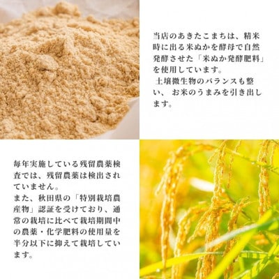 【毎月定期便】あきたこまち5kg(6か月分)秋田県産特別栽培米 大潟村のお米 精米 全6回