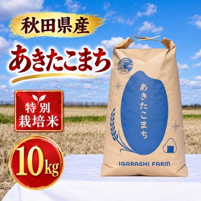 特別栽培米 あきたこまち 白米 10kg