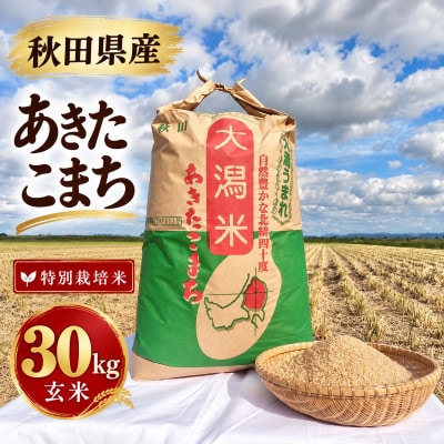 特別栽培米 あきたこまち 玄米 30kg
