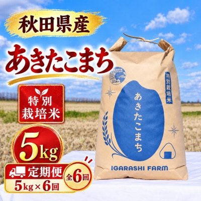 【毎月定期便】特別栽培米 あきたこまち 白米 5kg全6回