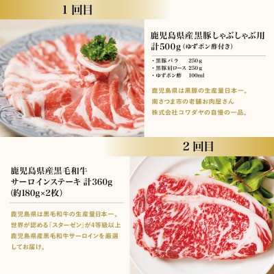 【定期便】畜産王国鹿児島の厳選お肉4種(全4回)