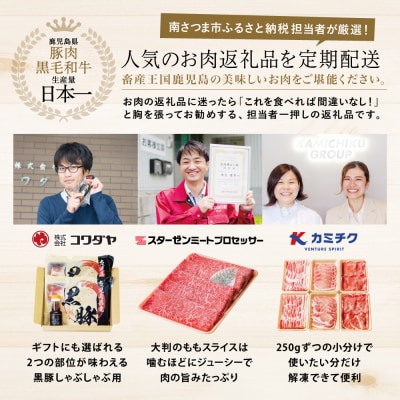 【 定期便 】 畜産王国 鹿児島の厳選 お肉 3種(全3回)  牛肉 豚肉 鹿児島県産