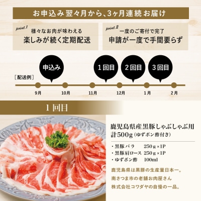 【 定期便 】 畜産王国 鹿児島の厳選 お肉 3種(全3回)  牛肉 豚肉 鹿児島県産