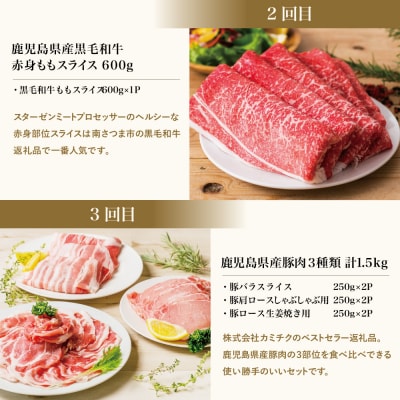 【 定期便 】 畜産王国 鹿児島の厳選 お肉 3種(全3回)  牛肉 豚肉 鹿児島県産